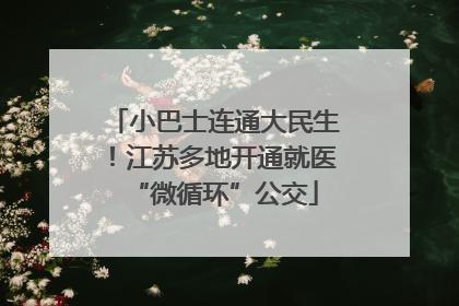 小巴士连通大民生！江苏多地开通就医“微循环”公交