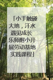 小手触碰大地，汗水遇见成长 乐师附小开展劳动基地实践课程