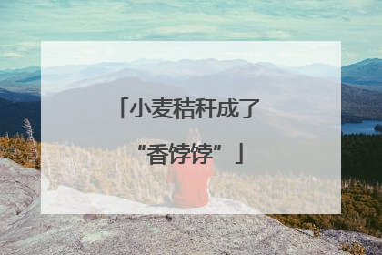 小麦秸秆成了“香饽饽”