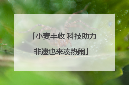 小麦丰收 科技助力 非遗也来凑热闹