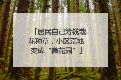 居民自己筹钱栽花种草，小区荒地变成“微花园”