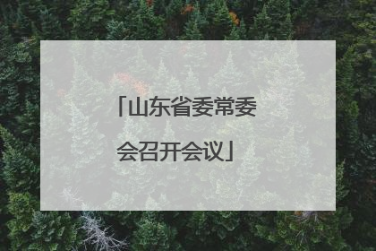 山东省委常委会召开会议