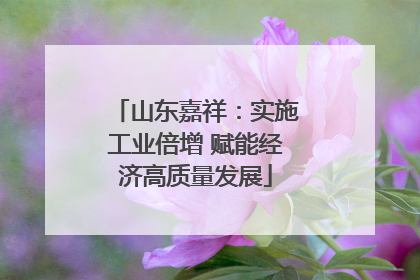 山东嘉祥：实施工业倍增 赋能经济高质量发展