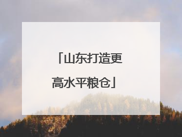 山东打造更高水平粮仓