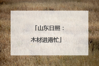 山东日照：木材进港忙