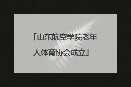 山东航空学院老年人体育协会成立