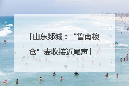 山东郯城：“鲁南粮仓”麦收接近尾声