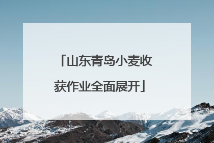 山东青岛小麦收获作业全面展开