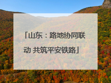 山东：路地协同联动 共筑平安铁路