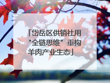 岱岳区供销社用“全链思维”重构羊肉产业生态