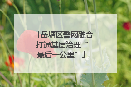 岳塘区警网融合 打通基层治理“最后一公里”