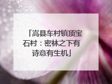 嵩县车村镇顶宝石村：密林之下有诗意有生机