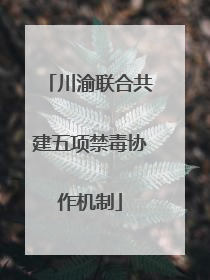 川渝联合共建五项禁毒协作机制