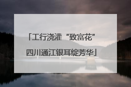 工行浇灌“致富花” 四川通江银耳绽芳华