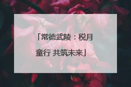 常德武陵：税月童行 共筑未来