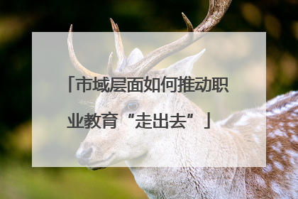市域层面如何推动职业教育“走出去”
