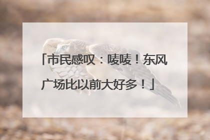 市民感叹：唛唛！东风广场比以前大好多！