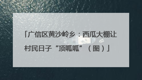 广信区黄沙岭乡：西瓜大棚让村民日子“顶呱呱”（图）