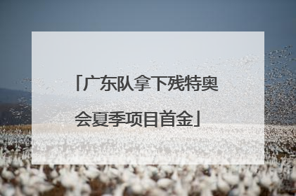 广东队拿下残特奥会夏季项目首金