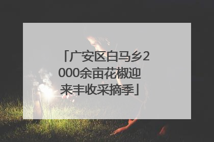 广安区白马乡2000余亩花椒迎来丰收采摘季