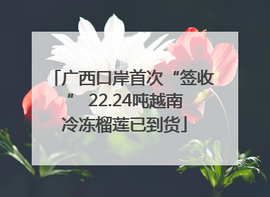 广西口岸首次“签收” 22.24吨越南冷冻榴莲已到货