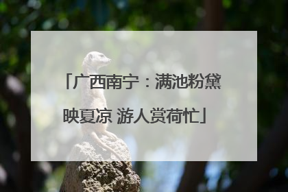 广西南宁：满池粉黛映夏凉 游人赏荷忙