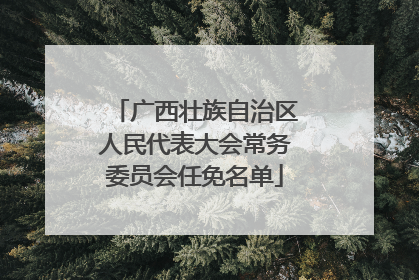 广西壮族自治区人民代表大会常务委员会任免名单