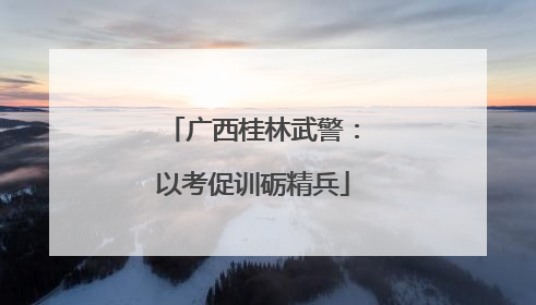 广西桂林武警：以考促训砺精兵