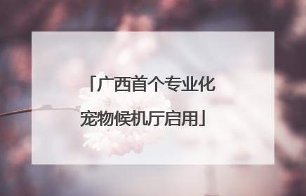 广西首个专业化宠物候机厅启用