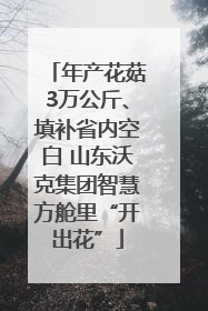 年产花菇3万公斤、填补省内空白 山东沃克集团智慧方舱里“开出花”