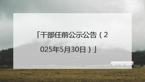 干部任前公示公告（2025年5月30日）