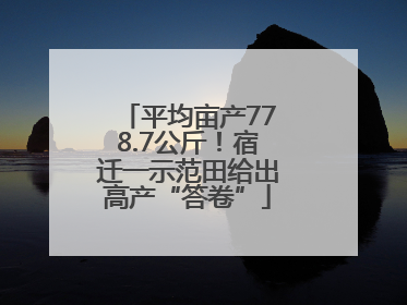 平均亩产778.7公斤！宿迁一示范田给出高产“答卷”