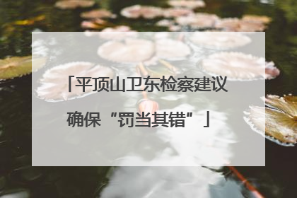 平顶山卫东检察建议确保“罚当其错”