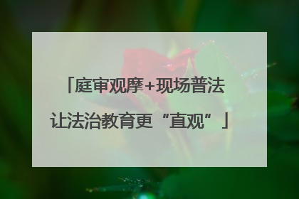 庭审观摩+现场普法 让法治教育更“直观”
