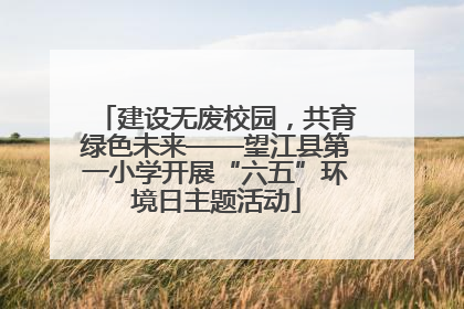 建设无废校园，共育绿色未来——望江县第一小学开展“六五”环境日主题活动