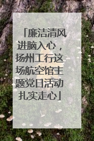 廉洁清风进脑入心，扬州工行这场航空馆主题党日活动扎实走心