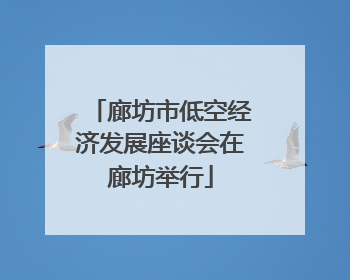 廊坊市低空经济发展座谈会在廊坊举行