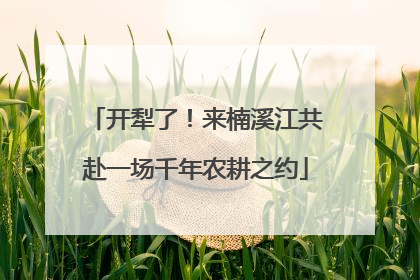 开犁了！来楠溪江共赴一场千年农耕之约