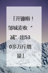开镰啦！邹城麦收“减”出530多万斤增量