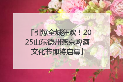引爆全城狂欢！2025山东德州燕京啤酒文化节即将启幕