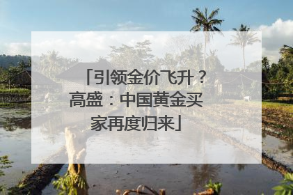 引领金价飞升？高盛：中国黄金买家再度归来