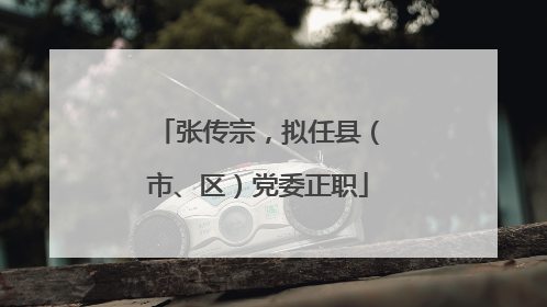 张传宗，拟任县（市、区）党委正职