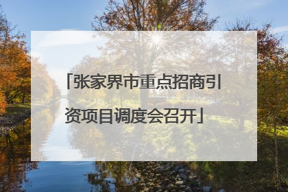 张家界市重点招商引资项目调度会召开