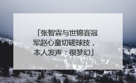 张智霖与世锦赛冠军赵心童切磋球技，本人发声：很梦幻