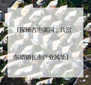 探秘古枣溪园，共赏东塔镇长枣产业风华