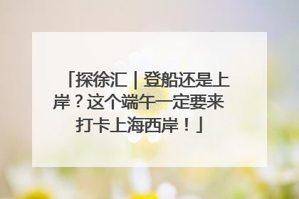 探徐汇｜登船还是上岸？这个端午一定要来打卡上海西岸！