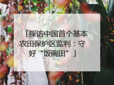 探访中国首个基本农田保护区监利：守好“饭碗田”