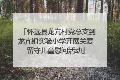 怀远县龙亢村党总支到龙亢镇实验小学开展关爱留守儿童慰问活动