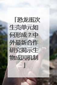 恐龙蛋次生壳单元如何形成？中外最新合作研究揭示生物成因机制