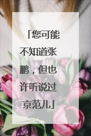 您可能不知道张鹏，但也许听说过京范儿